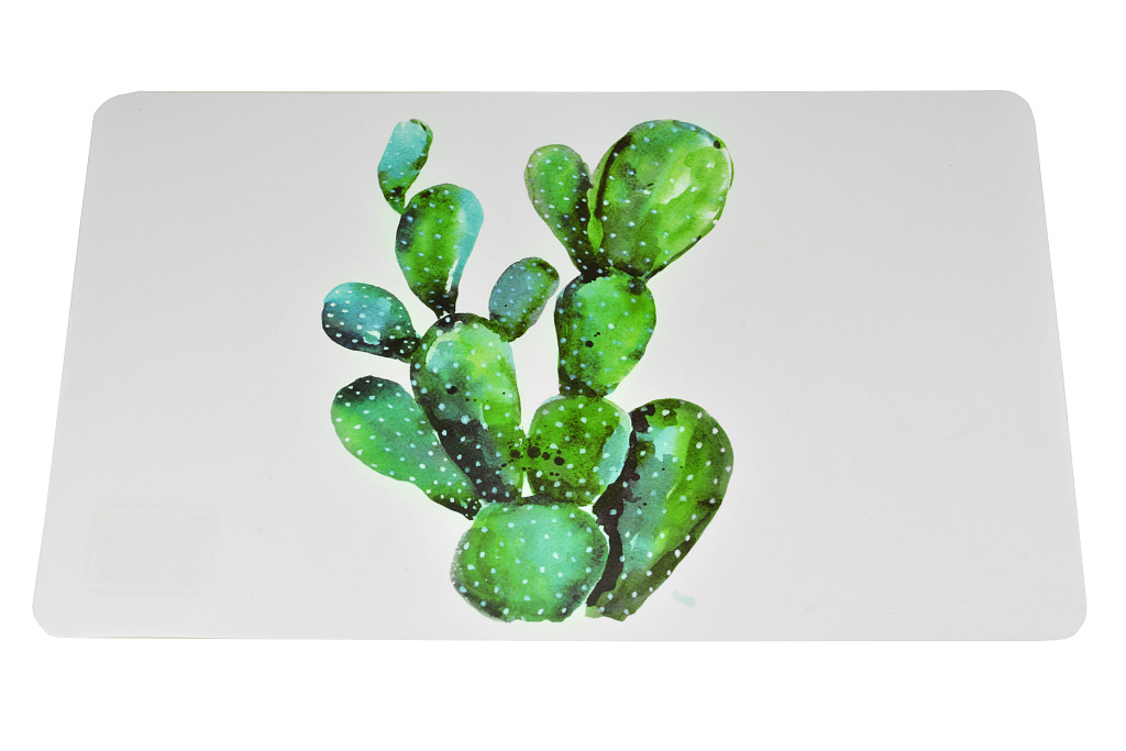 Fotografie Vinylové prostírání (43x28.5cm) - Kaktus
