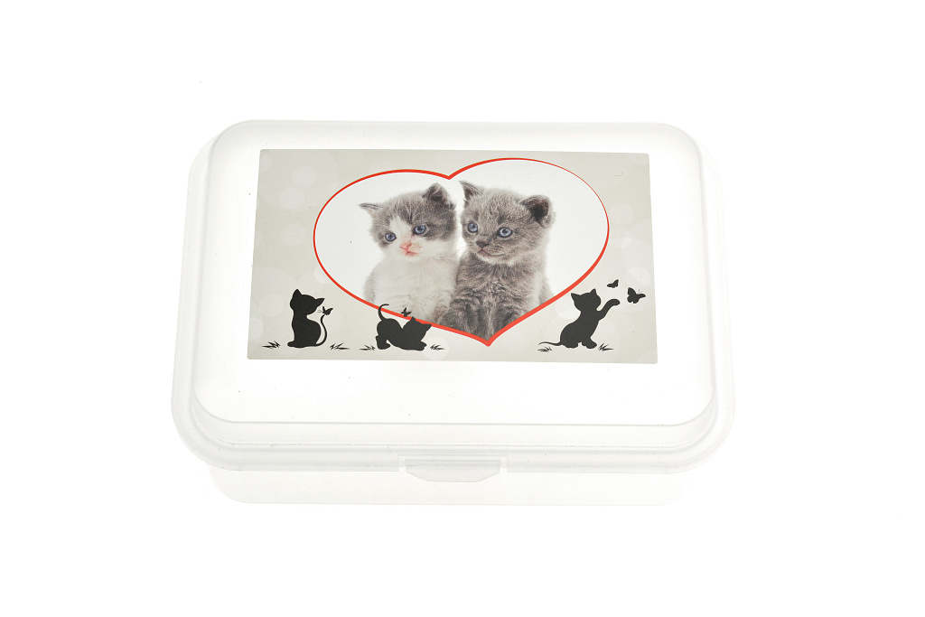 Fotografie Box na svačinu 180 x 130 x 70 mm, kočičky, transparentní