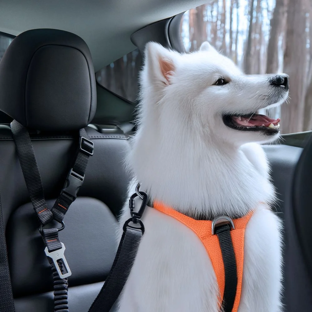 Autodoplňky pro rodiny, řidiče a cestování s mazlíčky